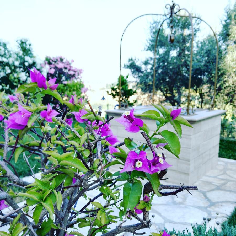 Ostra B&B Le Dive מראה חיצוני תמונה
